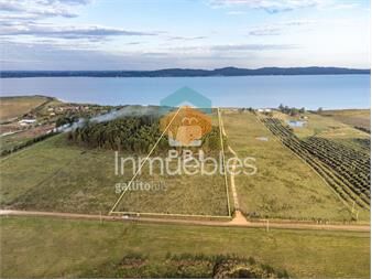 https://www.gallito.com.uy/chacra-en-venta-en-laguna-del-sauce-punta-ref-inmuebles-27535682
