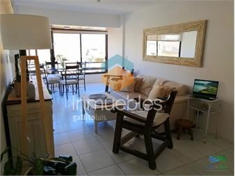 https://www.gallito.com.uy/alquiler-enero-2024-en-peninsula-de-punta-del-2-2-inmuebles-24570817