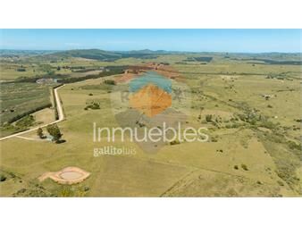 https://web5.gallito.com.uy/chacras-en-venta-ruta-39-san-carlos-oportunidad-inmuebles-27494075