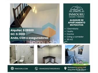 https://www.gallito.com.uy/alquiler-de-apartamento-de-1-dormitorio-en-inmuebles-27539899