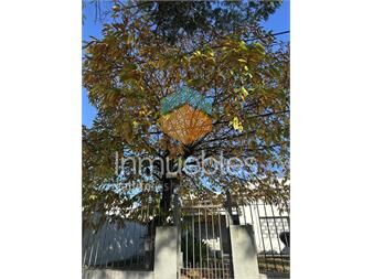 https://www.gallito.com.uy/venta-casa-3-dormitorios-2-baños-fondo-1-planta-a-reciclar-inmuebles-27539710