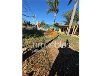 https://web5.gallito.com.uy/excelente-chale-de-tejas-sobre-avenida-inmuebles-27540095