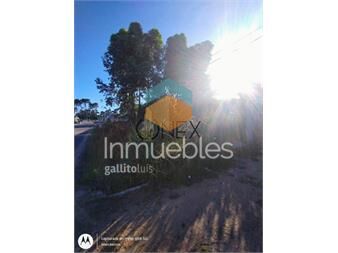 https://www.gallito.com.uy/terreno-en-maldonado-4-h-inmuebles-27307044