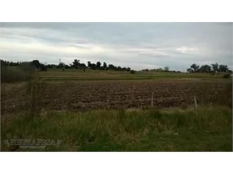 https://web5.gallito.com.uy/campo-en-venta-paso-de-la-arena-inmuebles-24713251