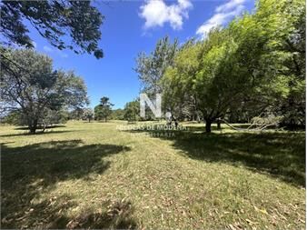 https://web5.gallito.com.uy/vende-terreno-ideal-para-desarrollo-de-barrio-del-inmuebles-26767334
