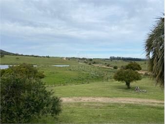 https://www.gallito.com.uy/campo-22-has-con-casa-cerca-de-pueblo-eden-inmuebles-22909664