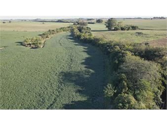 https://www.gallito.com.uy/campo-mixto-semilleros-colonia-inmuebles-27535536