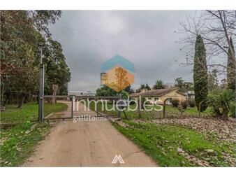https://web5.gallito.com.uy/alquiler-sobre-ruta-8-oficinas-y-gran-predio-inmuebles-27124440