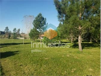 https://www.gallito.com.uy/chacra-de-3-has-con-5657-m2-en-camino-benito-inmuebles-26517079