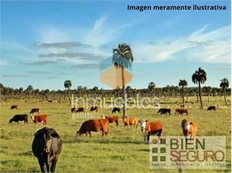 https://www.gallito.com.uy/ideal-inversor-campo-ganadero-124-5-has-proximo-19-ruta1-inmuebles-26139614