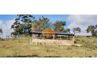 https://www.gallito.com.uy/venta-de-chacra-5ha-inmuebles-27544140