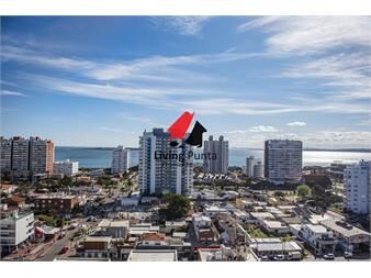 https://www.gallito.com.uy/piso-alto-con-vista-panoramica-1-dormitorio-y-en-inmuebles-27544425