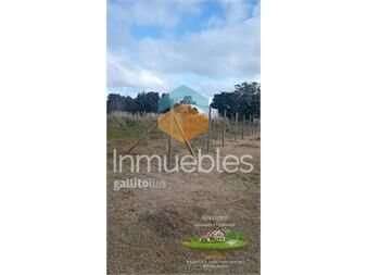 https://www.gallito.com.uy/se-vende-terreno-en-las-proximidades-de-estacion-inmuebles-27544418