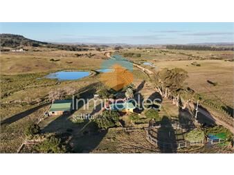 https://web5.gallito.com.uy/bajo-de-precio-casa-de-campo-en-serio-son-5-inmuebles-25603950