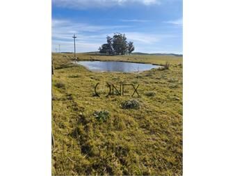 https://www.gallito.com.uy/hermosa-chacra-de-5-ha-en-zanja-de-chavez-a-15-km-inmuebles-27485436