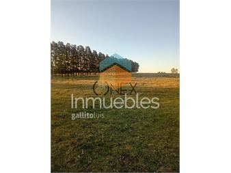 https://www.gallito.com.uy/venta-de-chacra-de-6-ha-en-zanja-de-chavez-inmuebles-27548506