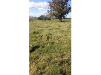 https://www.gallito.com.uy/venta-campo-29-hectareas-a-4-km-de-san-carlos-inmuebles-27426470
