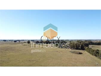 https://web5.gallito.com.uy/venta-de-campo-con-casa-en-maldonado-abra-inmuebles-27549146