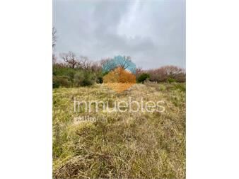 https://web5.gallito.com.uy/venta-campo-19-has-sobre-arroyo-sarandi-costa-azul-inmuebles-27552758