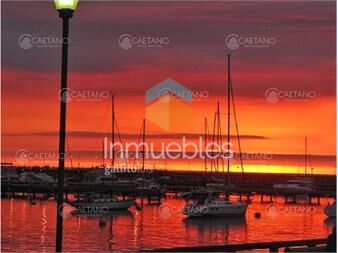 https://www.gallito.com.uy/alquiler-temporal-apartamento-4-dormitorios-de-inmuebles-24574087