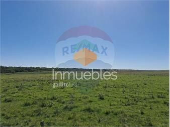 https://web5.gallito.com.uy/venta-campo-rio-negro-ganadero-agricola-350-has-inmuebles-27552974