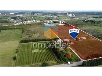 https://web5.gallito.com.uy/venta-terreno-chacra-27-has-melilla-inmuebles-26147562