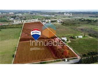 https://web5.gallito.com.uy/venta-terrenochacra-melilla-47-has-inmuebles-26147564
