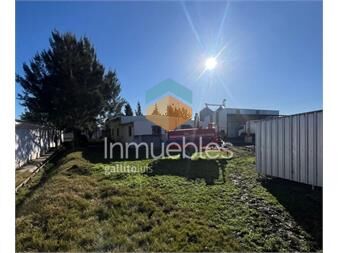 https://web5.gallito.com.uy/venta-granja-avicola-mas-campo-3-has-la-floresta-inmuebles-27553408