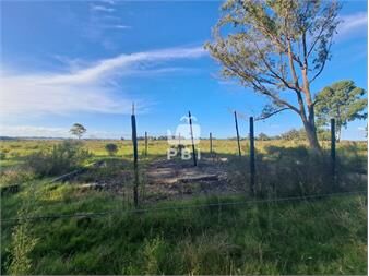 https://www.gallito.com.uy/venta-de-lote-eden-rock-ref-pbi14736-inmuebles-27206126