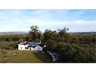 https://www.gallito.com.uy/venta-de-campo-de-77-ha-en-las-cañas-inmuebles-27554168