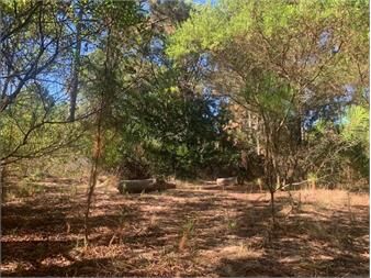 https://www.gallito.com.uy/terreno-en-club-del-lago-inmuebles-27548204
