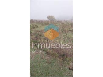https://www.gallito.com.uy/campo-con-23-hectareas-en-ruta-12-kilometro-94-acepta-ba-inmuebles-26386215