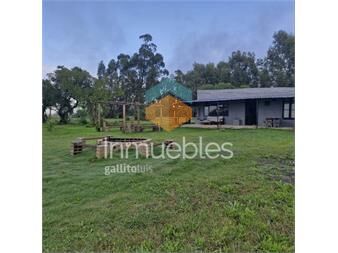 https://www.gallito.com.uy/venta-chacra-5-5-has-con-casa-y-2-pozos-semisurgentes-inmuebles-27562689