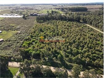 https://www.gallito.com.uy/chacra-en-venta-a-10-min-de-atlantida-sin-inmuebles-27387720
