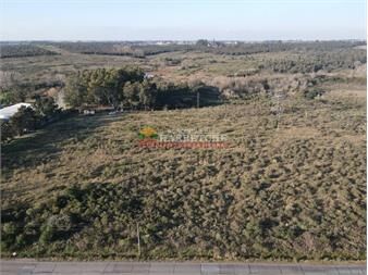 https://www.gallito.com.uy/chacra-de-5-has-en-melilla-sobre-camino-ah-7323-inmuebles-25816972