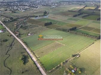 https://www.gallito.com.uy/chacra-en-los-cerrillos-10-has-aguada-a-del-inmuebles-27489416