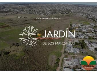https://www.gallito.com.uy/jardin-de-los-manzanos-terrenos-en-progreso-inmuebles-26890628
