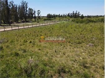 https://www.gallito.com.uy/chacra-de1-has-en-venta-a-10-min-de-sauce-a-1-km-inmuebles-26168559