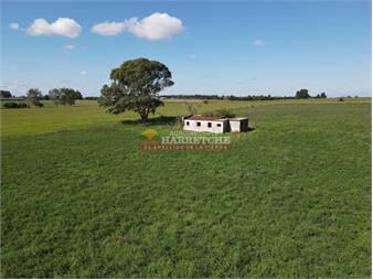 https://www.gallito.com.uy/chacra-de-54-has-en-los-cerrillos-construccion-inmuebles-27079824
