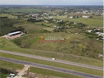 https://www.gallito.com.uy/terreno-logistico-sobre-ruta-5-con-200-m-de-inmuebles-27074015