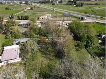 https://www.gallito.com.uy/alquilo-terreno-840-m2-a-pasitos-de-ruta-5-inmuebles-26114316