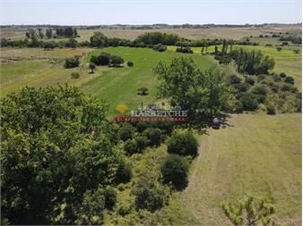 https://www.gallito.com.uy/venta-de-chacra-9-hectareas-monte-arroyo-inmuebles-24956998