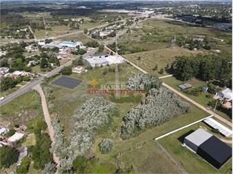 https://www.gallito.com.uy/terreno-en-venta-38136-m2-sobre-cesar-mayo-casi-inmuebles-27049688