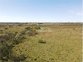 https://www.gallito.com.uy/chacra-en-progreso-zona-alta-3-has-a-pasito-de-inmuebles-27337152