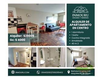 https://www.gallito.com.uy/alquiler-de-apartamento-amoblado-en-el-centro-inmuebles-27489361