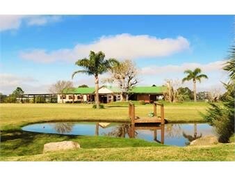 https://www.gallito.com.uy/casa-en-alquiler-con-amplio-jardã­n-en-el-quijote-inmuebles-26882315