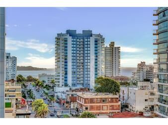https://www.gallito.com.uy/departamento-en-venta-a-pasos-del-mar-playa-brava-inmuebles-27524678