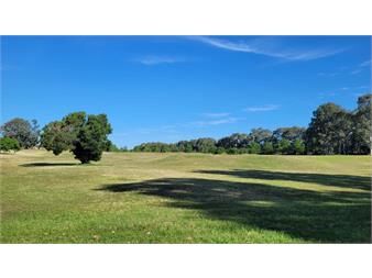 https://www.gallito.com.uy/venta-terreno-carmelo-golf-excelente-orientacion-inmuebles-27240549