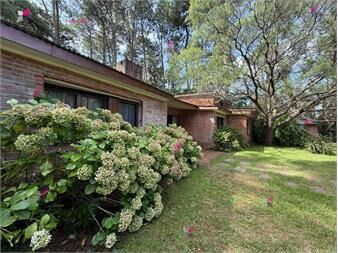 https://www.gallito.com.uy/venta-de-gran-terreno-marly-punta-del-este-inmuebles-27305992