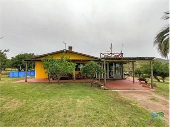 https://www.gallito.com.uy/23-has-con-casa-cerca-de-r12-bajo-de-precio-inmuebles-22542456